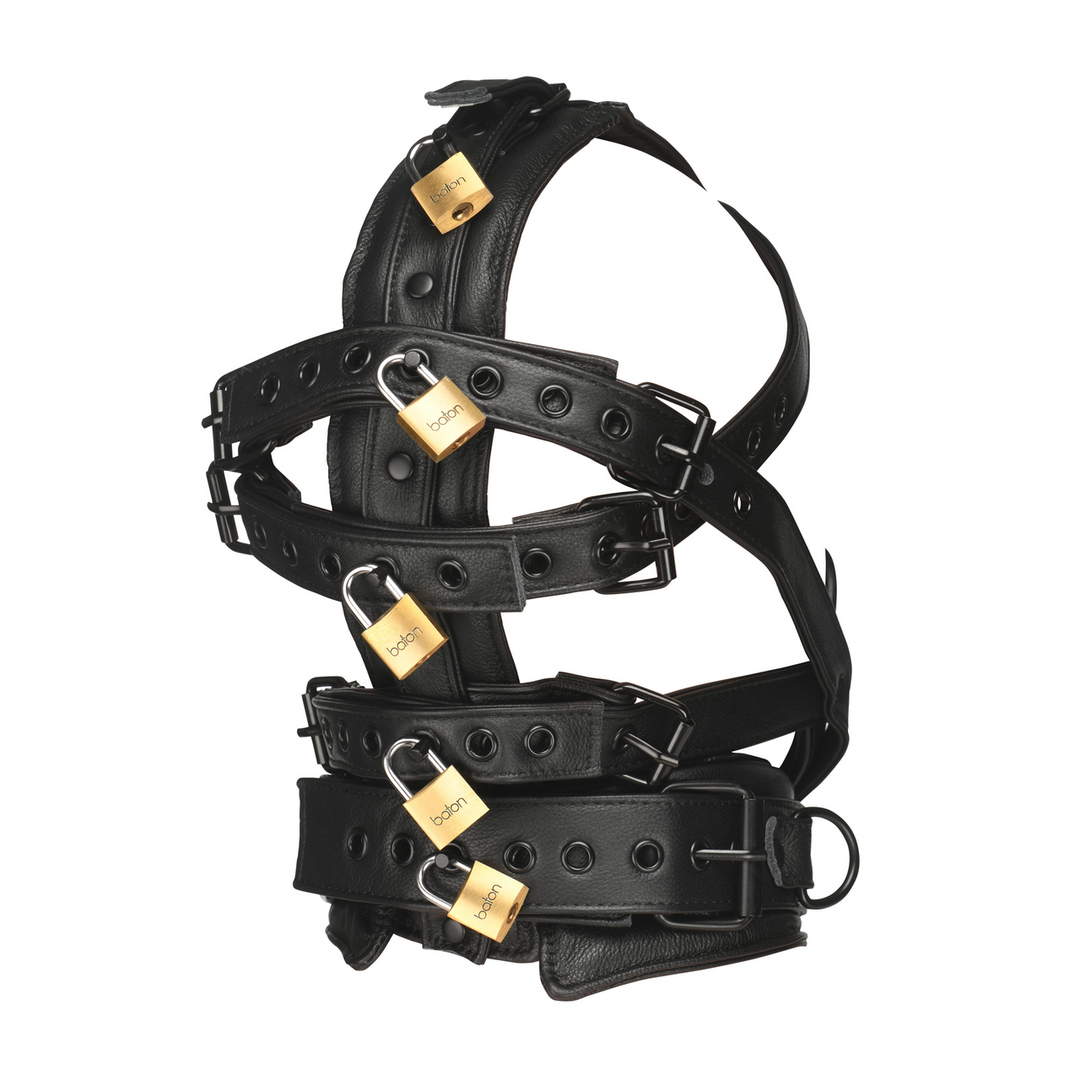 Leather Head Harness with Muzzle - Black