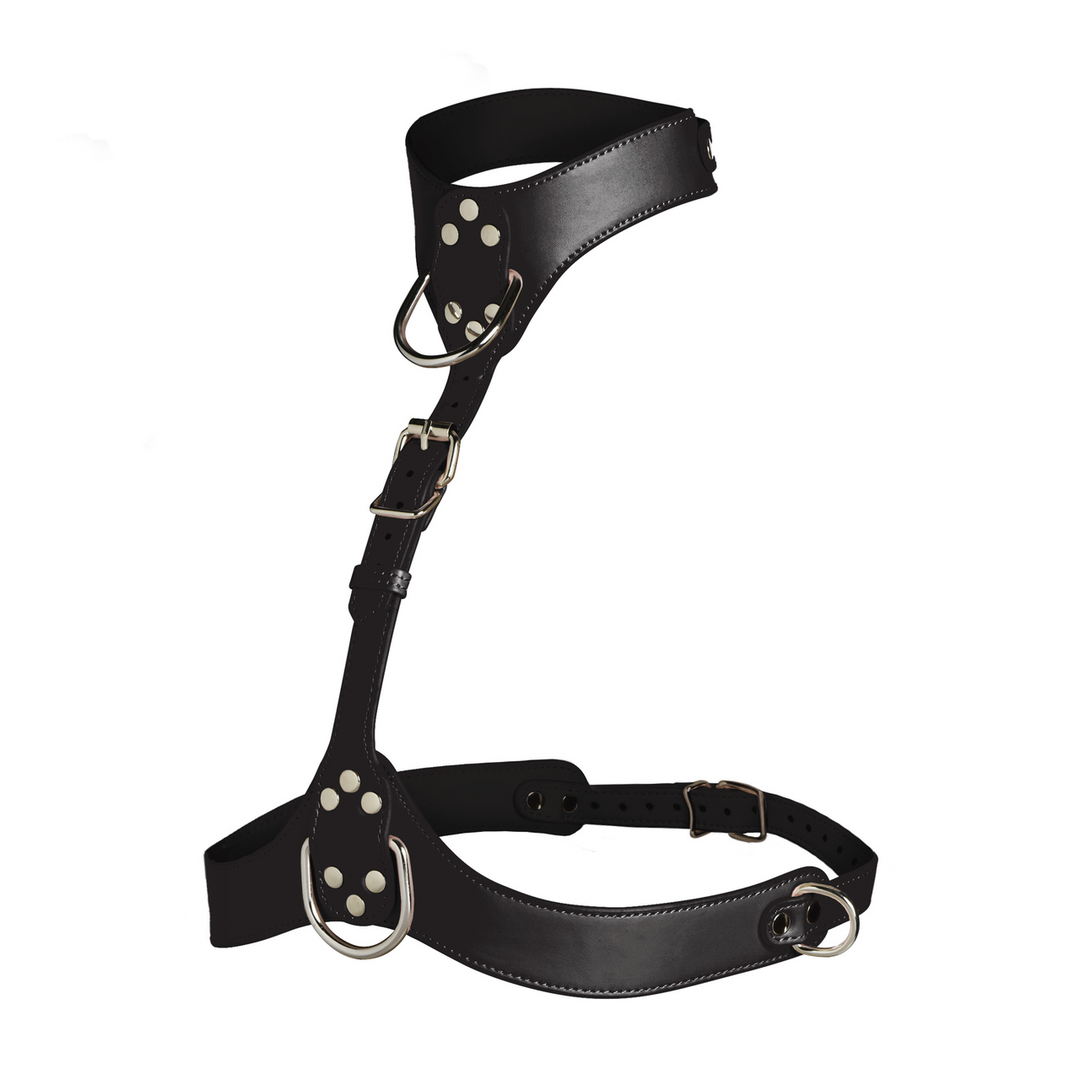 Vixen - Female Chest Harness