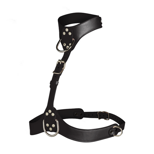 Vixen - Female Chest Harness