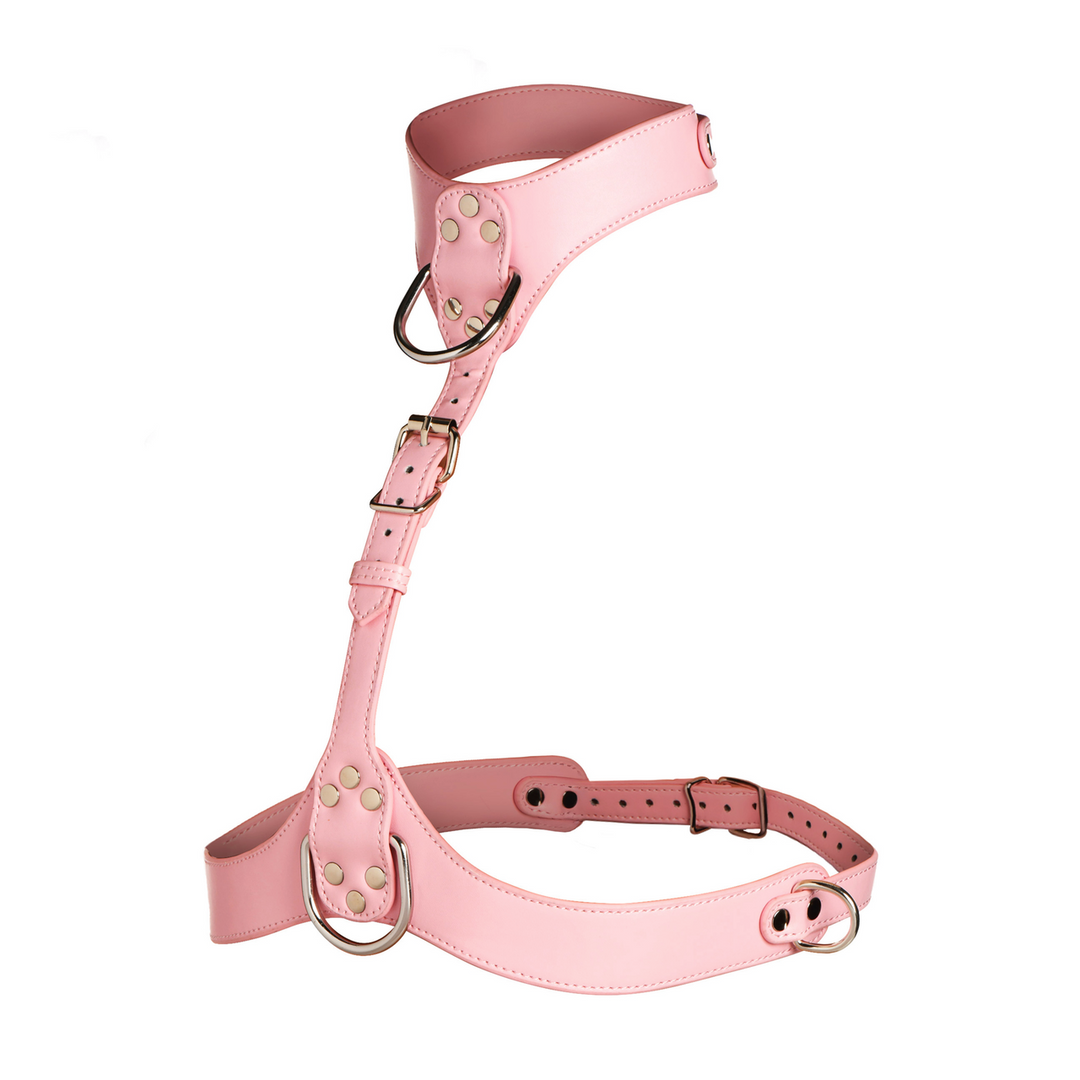 Vixen - Female Chest Harness
