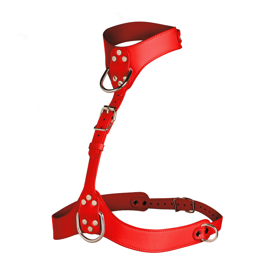 Vixen - Female Chest Harness