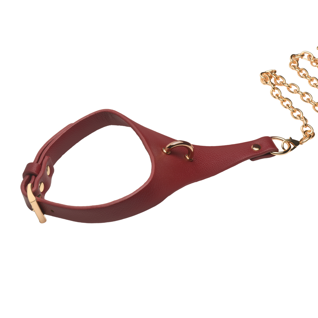 Captivate - Collar with Body Chain