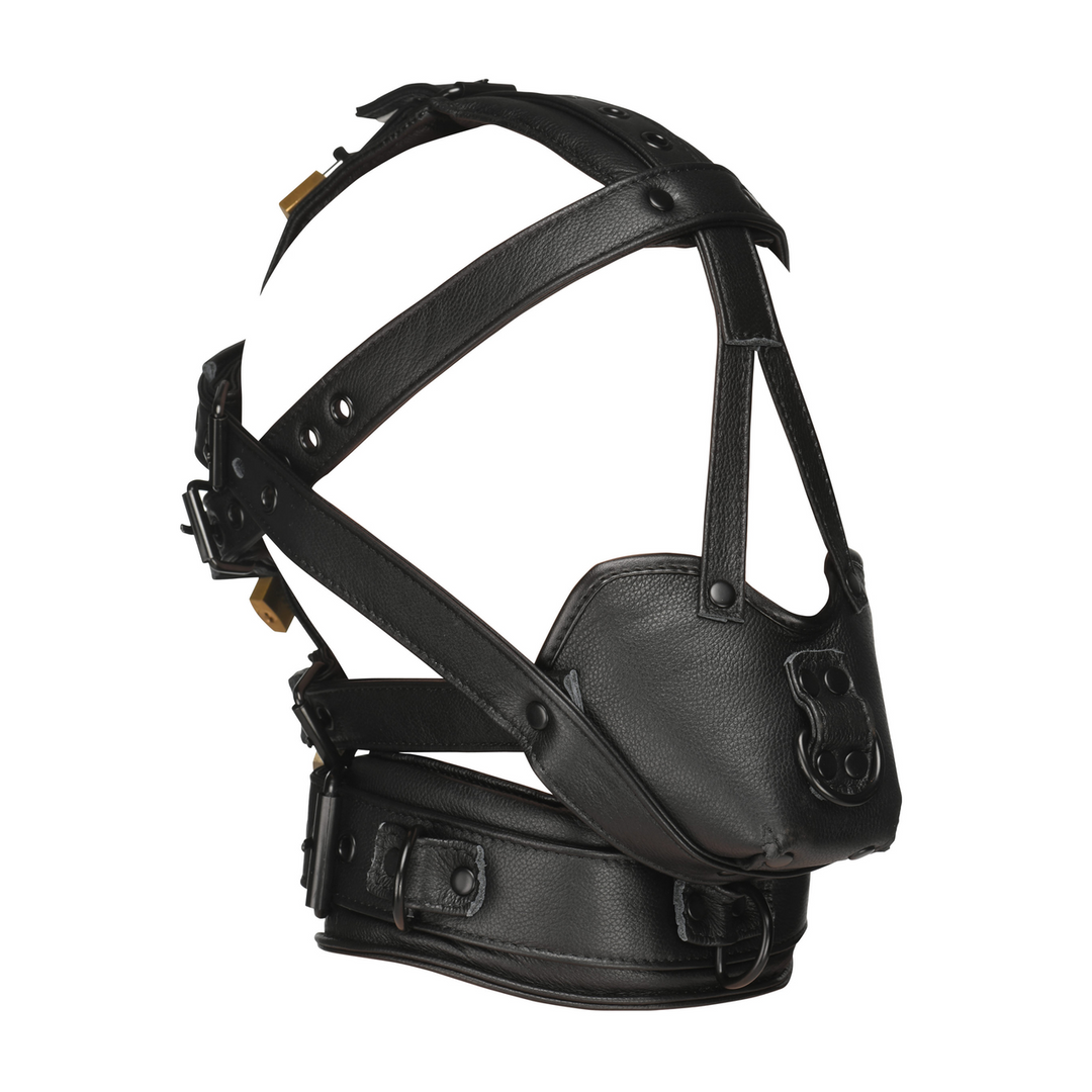 Leather Head Harness with Muzzle - Black
