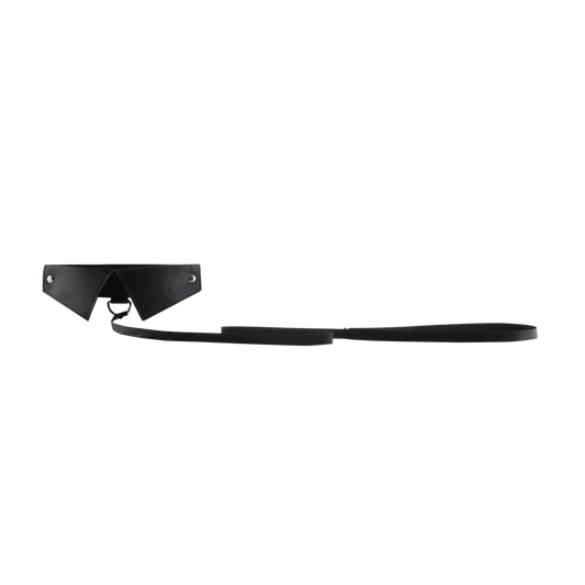 Exclusive Collar  Leash