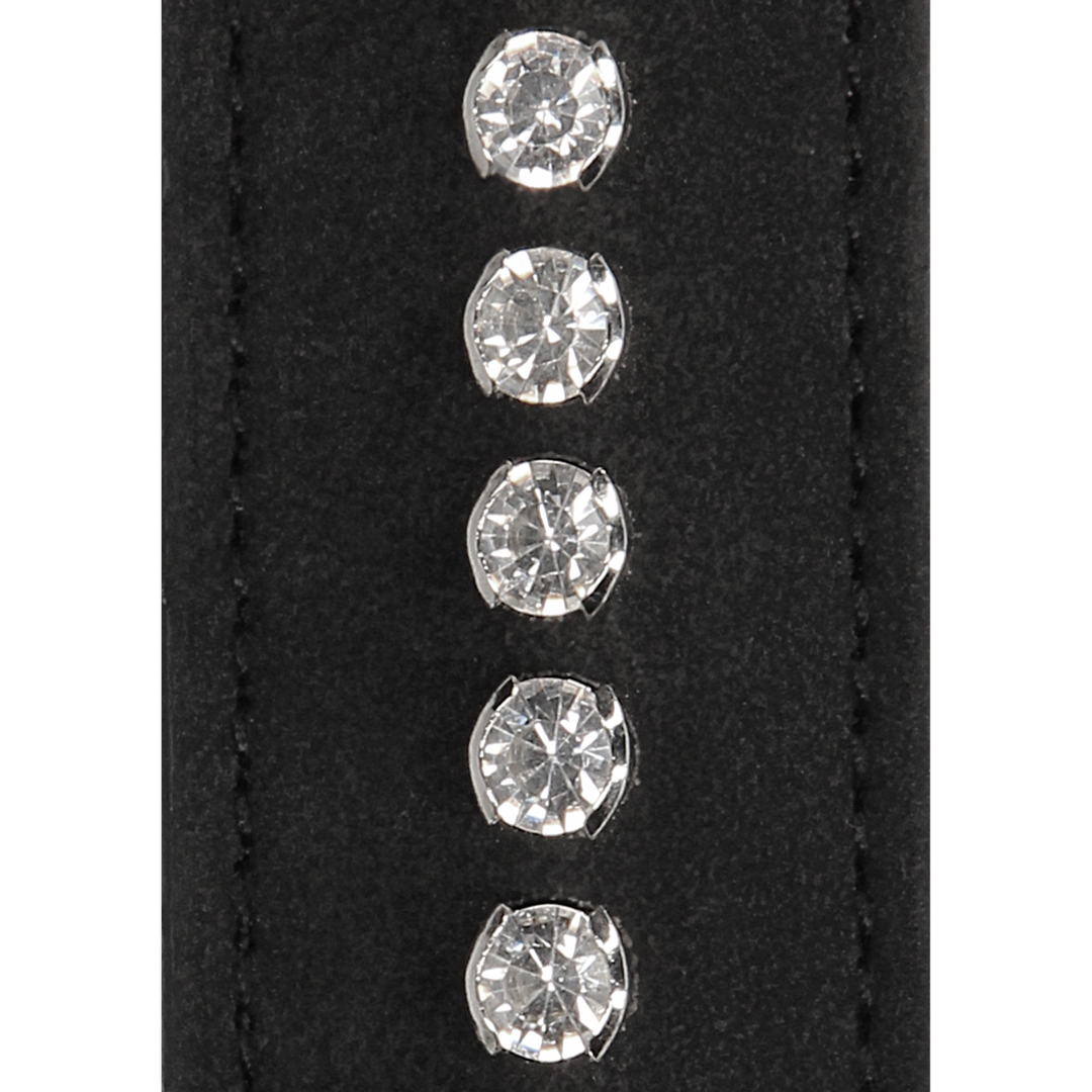 Diamond Studded Collar with Leash