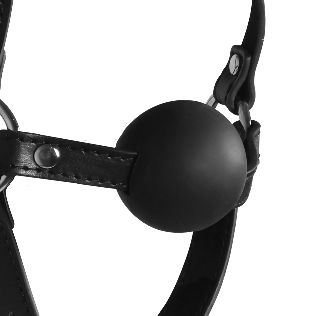 Blindfolded Head Harness with Solid Ball Gag - Black