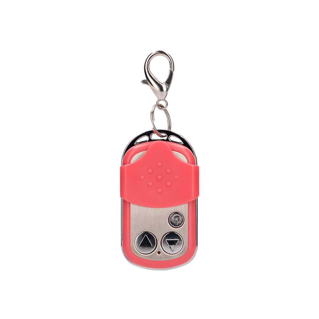 Vibrating Egg with 10 Speeds and Remote Control - L