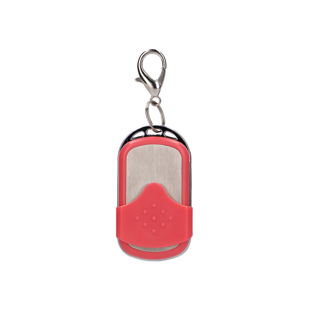 Vibrating Egg with 10 Speeds and Remote Control - L