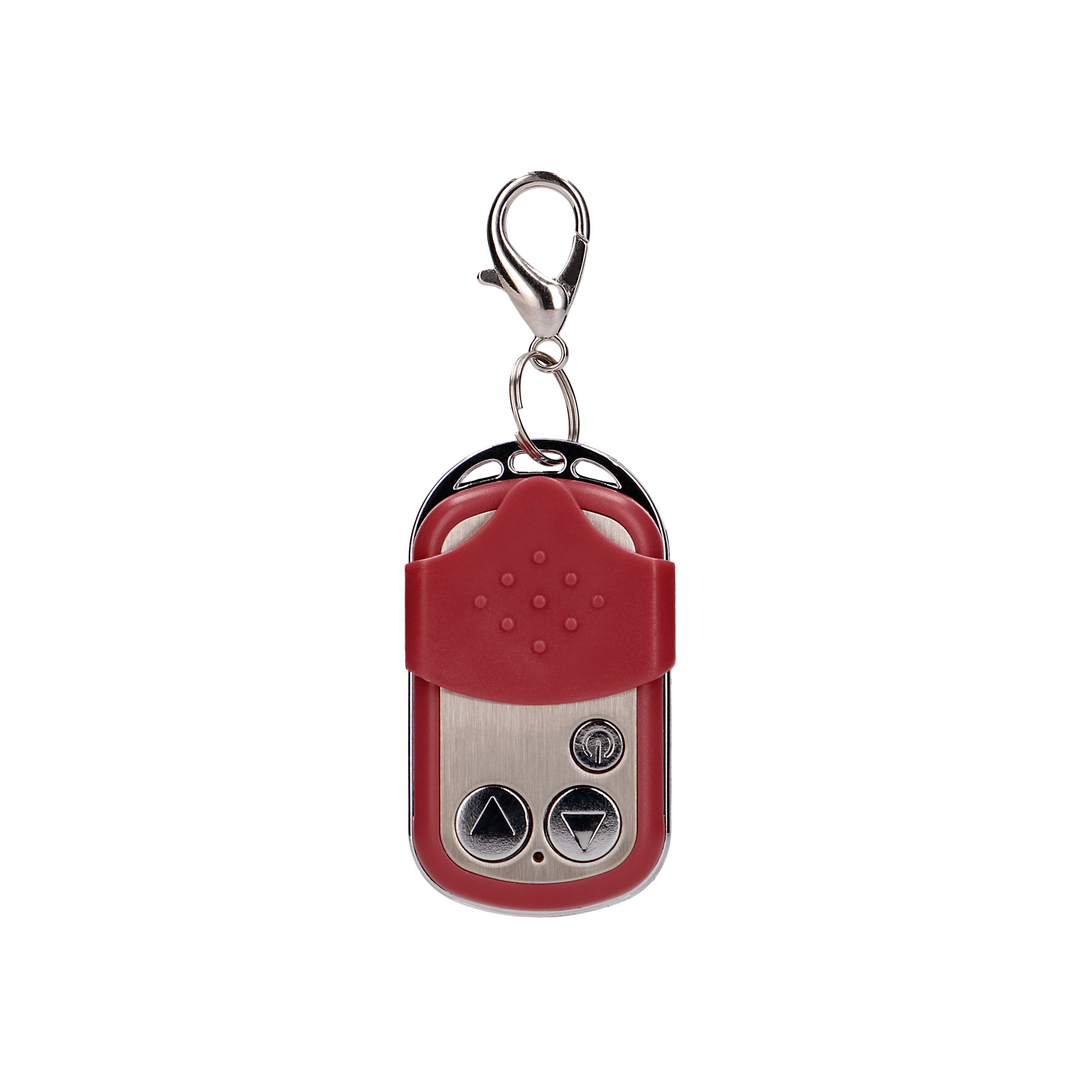 Vibrating Egg with 10 Speeds and Remote Control - L