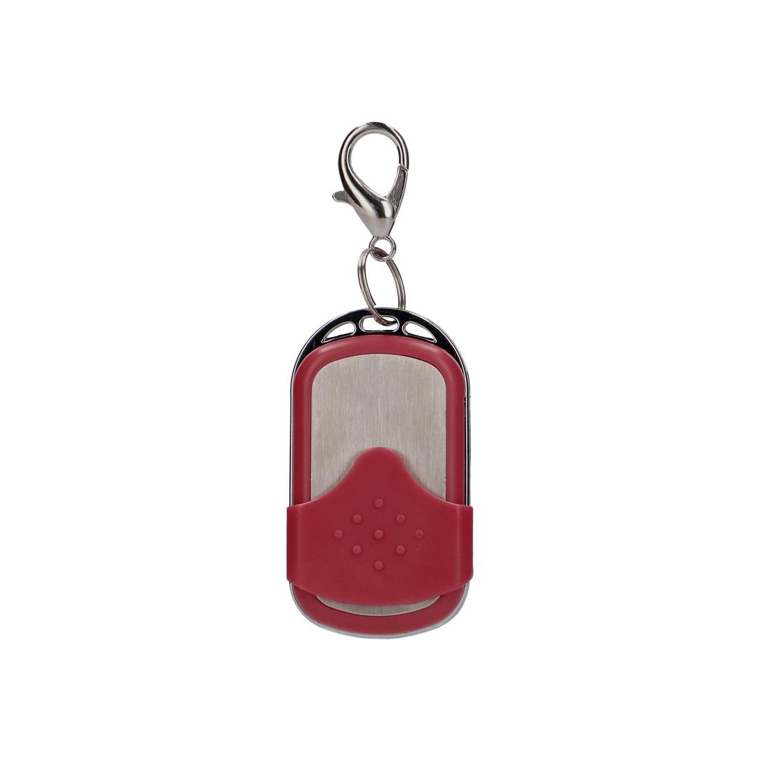 Vibrating Egg with 10 Speeds and Remote Control - L