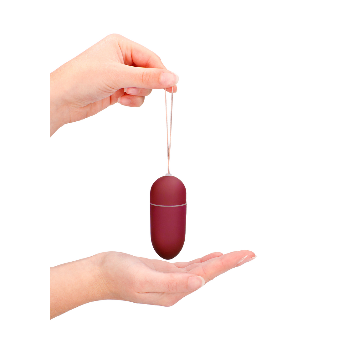 Vibrating Egg with 10 Speeds and Remote Control - L